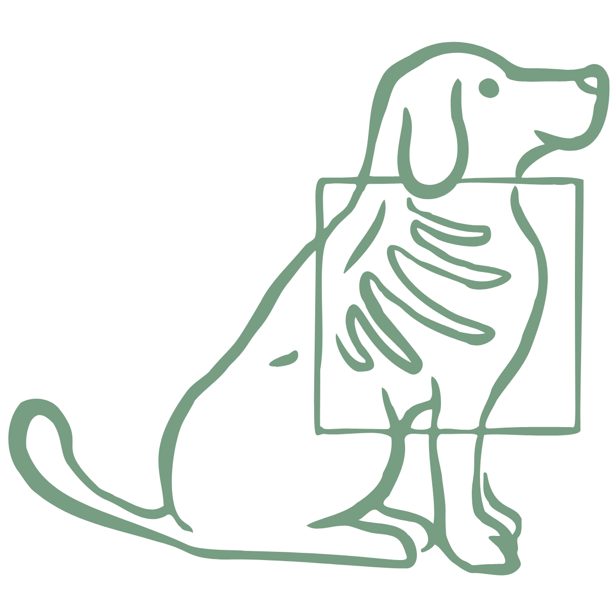 pet x-ray icon