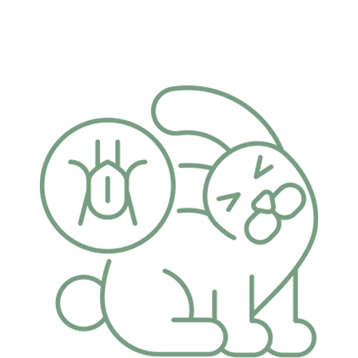 Solid square of pale green