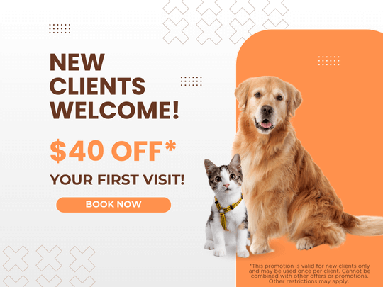 New Clients Promo Graphic