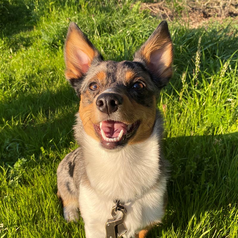 corner of modern building